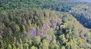2020 Drone Photos 20200819-DJI_0857.jpg